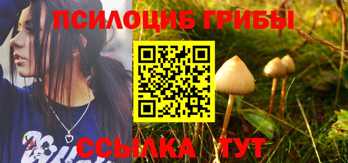 Южноуральск  закладка  Вход с VPN  Псилоцибиновые грибы MAGIC MUSHROOMS  Псилоцибиновые грибы мухоморы 